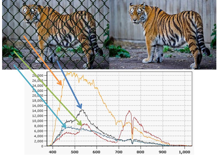 Figure from Image de-fencing with hyperspectral camera